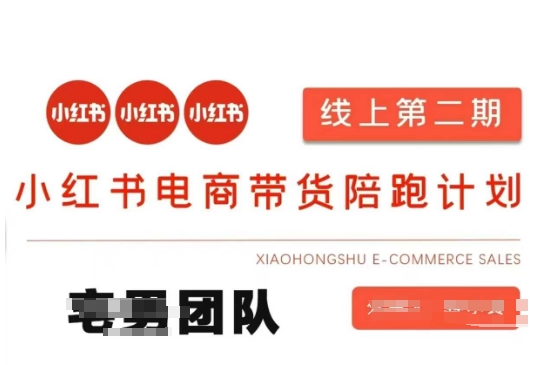 小红书电商带货课2期，月利润20个的小红书电商的有货源，无货源，虚拟产品，付费投流等整套玩法-快名资源网