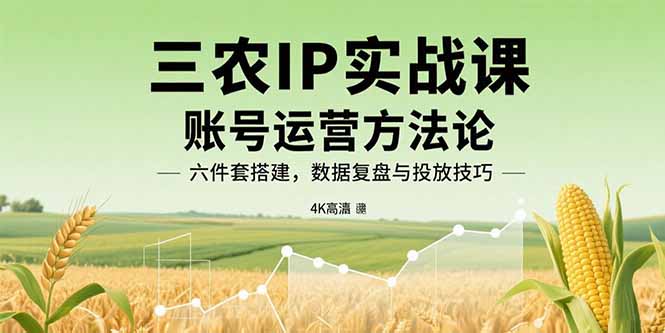 三农IP实战课：账号运营方法论，六件套搭建，数据复盘与投放技巧-快名资源网
