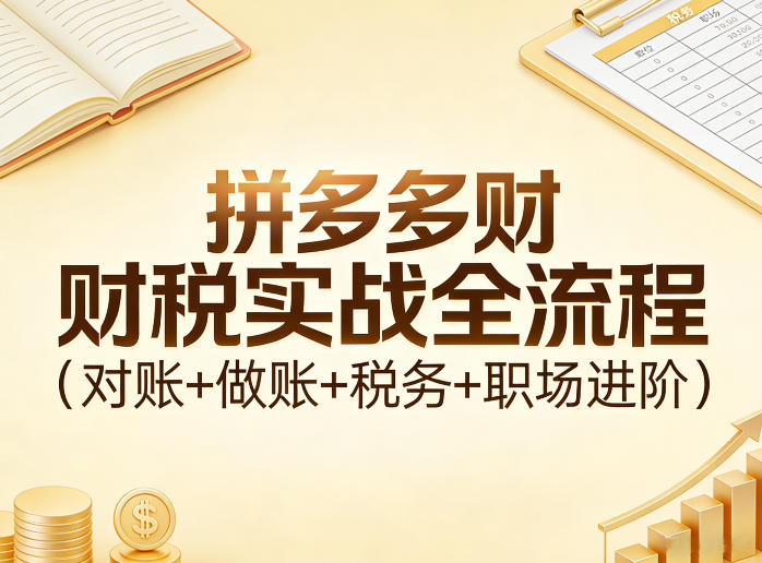 拼多多财税实战全流程(对账+做账+税务+职场进阶)-快名资源网