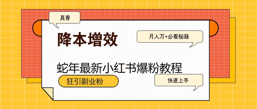 蛇年最新小红书爆粉教程，狂引副业粉，月入万+必看-快名资源网