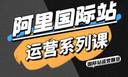 醒目老师·阿里国际站运营系列课(更新3月)-快名资源网