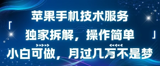 苹果手机技术服务，独家拆解，操作简单，小白可做，月过1W不是梦-快名资源网