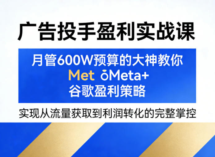 广告投手盈利实战课，月管600W预算的大神教你Meta+谷歌盈利策略，实现从流量获取到利润转化的完整掌控-快名资源网