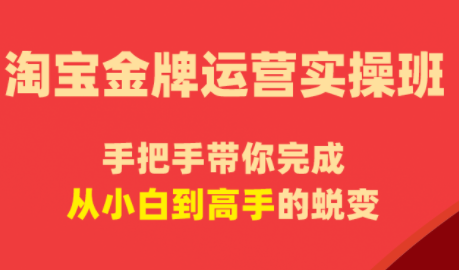 飓风电商·淘宝金牌运营实操班-快名资源网