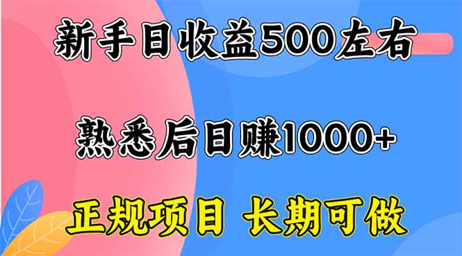新手日收益500+ 正规项目 长期可做-快名资源网