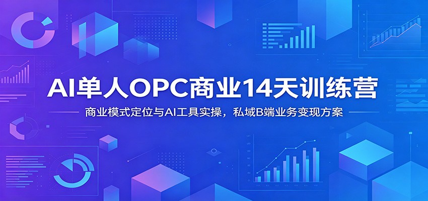 AI单人OPC商业14天训练营：商业模式定位与AI工具实操，私域B端业务变现方案-快名资源网