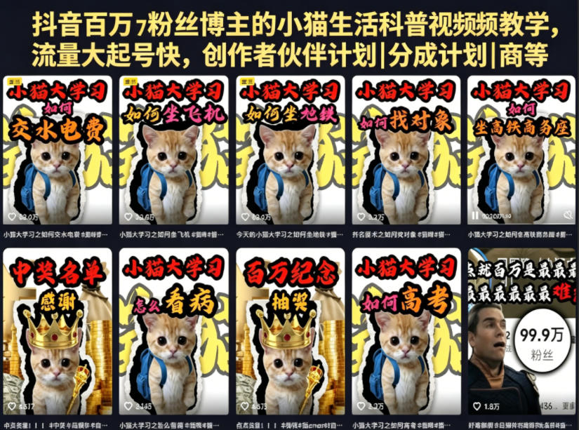 抖音百万粉丝博主的小猫生活科普视频教学，流量大起号快，创作者伙伴计划|分成计划|商单|收徒等-快名资源网
