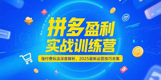 拼多多盈利实战训练营，强付费玩法深度解析，2025运营技巧合集-更新6月-快名资源网