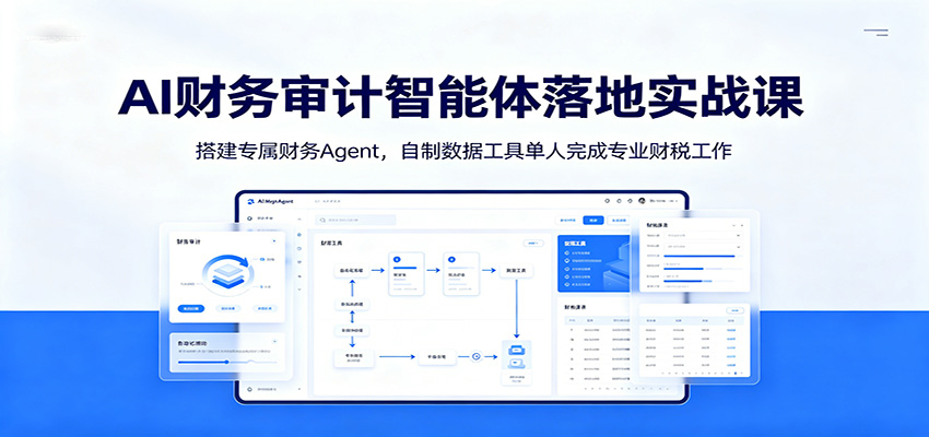 AI财务审计智能体落地实战课：搭建专属财务Agent，自制数据工具单人完成专业财税工作-青虫资源网