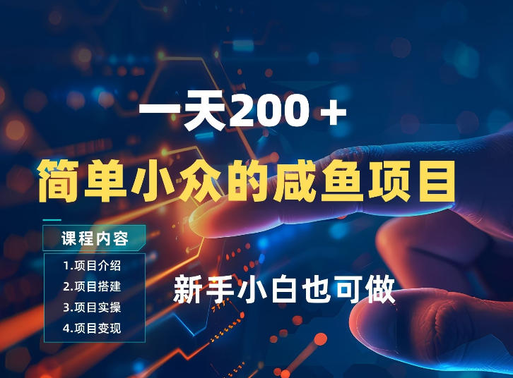 一天收入2张，一个简单小众的咸鱼项目，0门槛小白也能做-快名资源网
