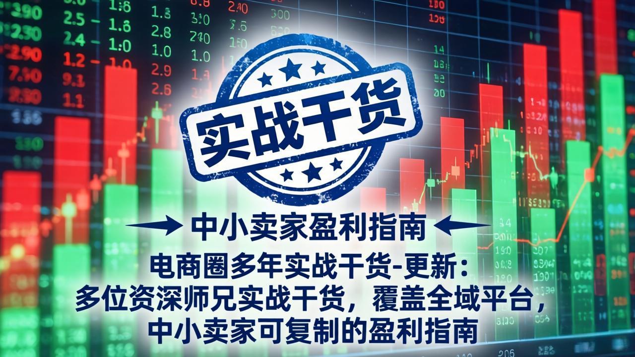 电商圈多年实战干货-更新5月20：多位资深师兄实战干货/覆盖全域平台，中小卖家可复制的盈利指南-快名资源网