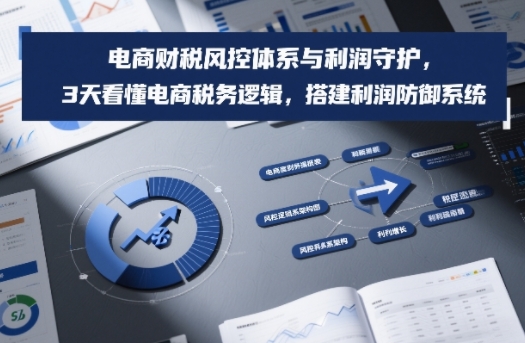 电商财税风控体系与利润守护，3天看懂电商税务逻辑，搭建利润防御系统-快名资源网