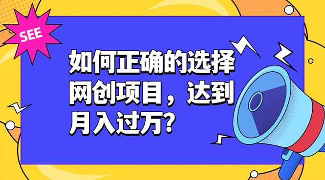 如何正确的选择网创项目，达到月入过万？，本课程教你正确选择项目。-青虫资源网