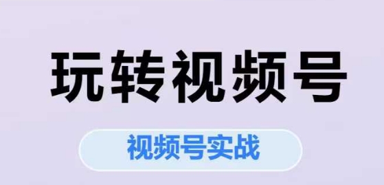 玩转视频号，视频号实战系列课-快名资源网