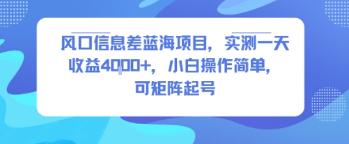 风口信息差蓝海项目，实测一天收益4k+，小白操作简单，可矩阵起号-快名资源网