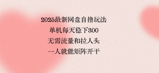 2025最新网盘自撸玩法，单机每天稳下3张，无需流量和拉人头，一个人就可轻松矩阵，全网独一份【揭秘】-快名资源网