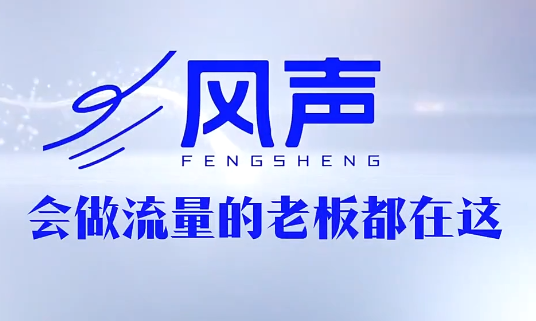 董十一·风声短视频AI获客年度会员-快名资源网