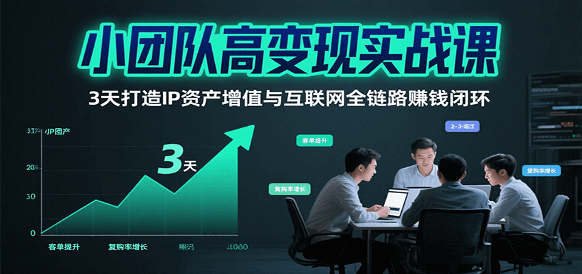 小团队高变现实战课，3天打造IP资产增值与互联网全链路赚钱闭环(第二期)-快名资源网