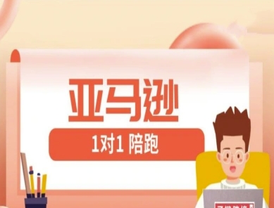 亚马逊1对1陪跑课(FBA/FBM精铺)跨境亚马逊教程-快名资源网