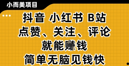 小而美的项目，抖音小红书B站视频点赞、关注、评论就能挣钱，简单无脑立见收益，妥妥的零撸项目【揭秘】-青虫资源网