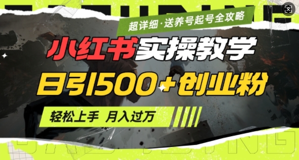 2月小红书最新日引500+创业粉实操教学【超详细】小白轻松上手，月入1W+，附小红书养号起号SOP-快名资源网