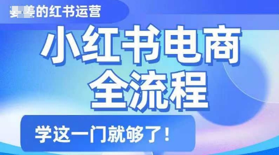 小红书电商全流程，精简易懂，从入门到精通，学这一门就够了-青虫资源网