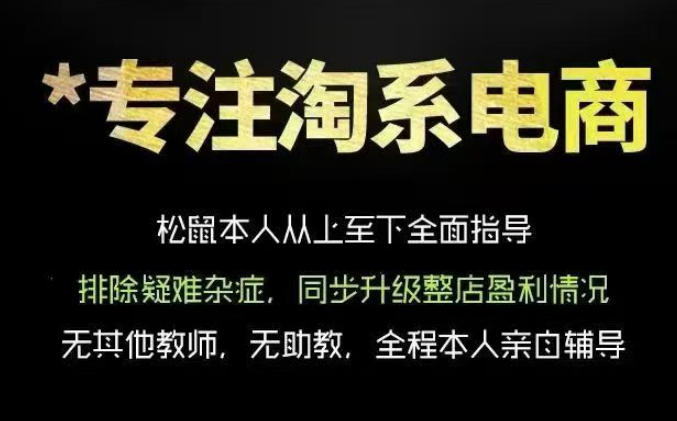 松鼠会电商VIP课程，从基础布局到高阶优化，助你掌握淘宝运营逻辑，提升店铺流量与转化(更新0703)-青虫资源网