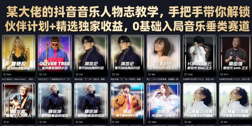 某大佬的抖音音乐人物志教学，手把手带你解锁伙伴计划+精选独家收益，0基础入局音乐垂类赛道-青虫资源网