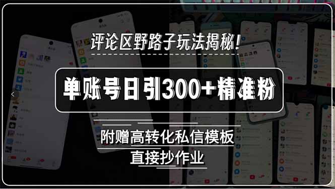 评论区野路子玩法揭秘！单账号日引300+精准粉，附赠高转化私信模板，直...-快名资源网