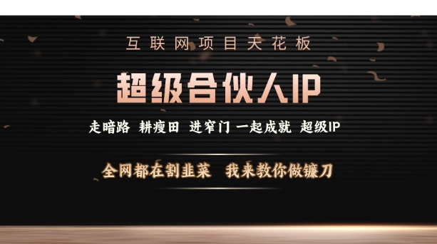 互联网项目天花板，超级合伙人IP，全网都在割韭菜，我来教你做镰刀【仅揭秘】-快名资源网