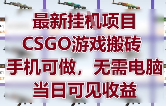 最新挂G项目，CSGO游戏搬砖，手机可做，无需电脑，当日见收益【揭秘】-青虫资源网