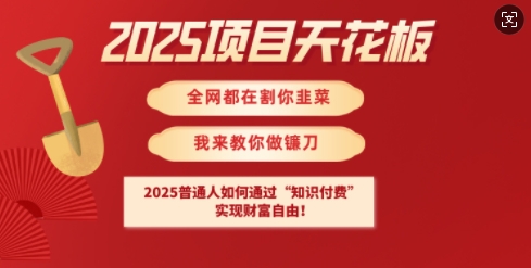 2025项目天花板普通人如何通过知识付费，实现财F自由【揭秘】-快名资源网