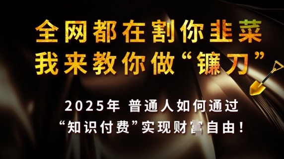 全网都在割你韭菜，我来教你做镰刀，2025普通人如何通过知识付费，实现财F自由【揭秘】-快名资源网