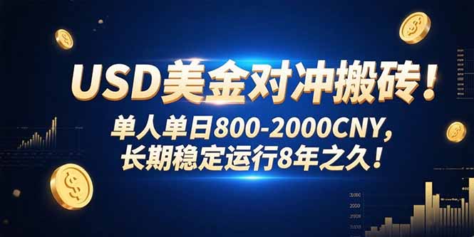 USD美金对冲搬砖!单人单日800-2000CNY，长期稳定运行8年之久!-快名资源网